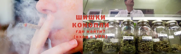 mdma Ельня