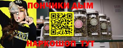 шишки Апшеронск