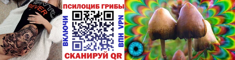 сколько стоит  kraken рабочий сайт  Галлюциногенные грибы прущие грибы  Бахчисарай 