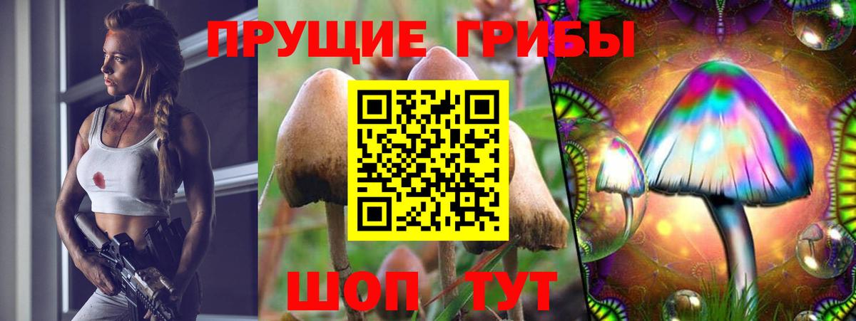 Псилоцибиновые грибы мицелий  Вход с VPN  Псилоцибиновые грибы ЛСД  Бахчисарай 